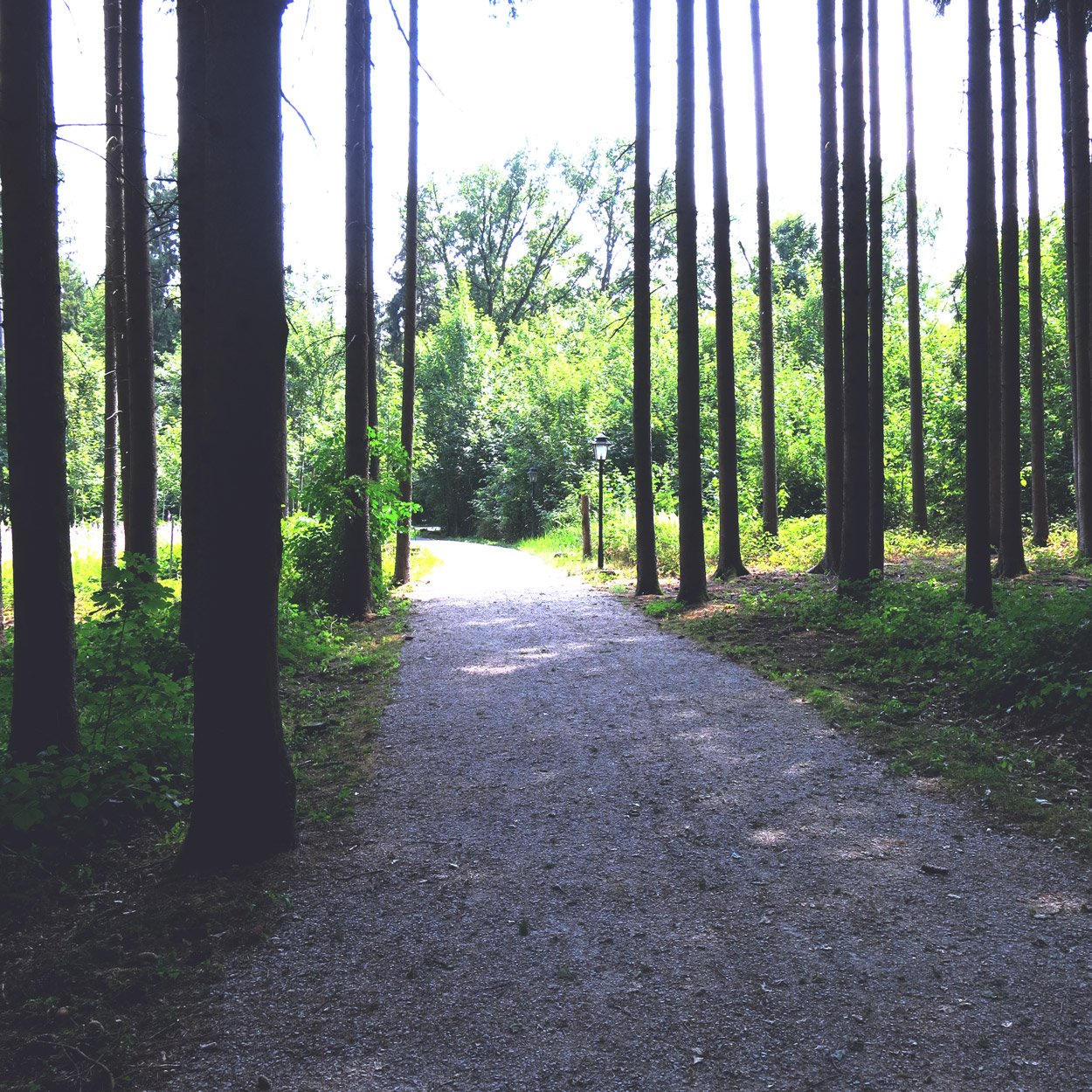 Hotel Drei Quellen Therme, Wald, Bad Griesbach